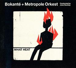 Foto van What heat - cd (0884108007402)