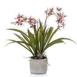 Foto van Bordeaux rode orchidee kunstplant in keramische pot 45 cm - kunstplanten