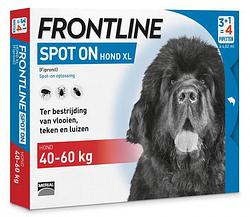 Foto van Frontline spot-on hond xl