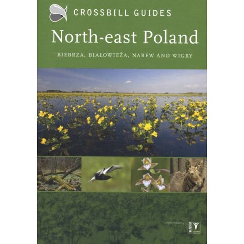 Foto van North-east poland - crossbill guides