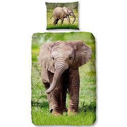Foto van Good morning elephant dekbedovertrek - 100% katoen - 1-persoons (140x200/220 cm + 1 sloop) - 1 stuk (60x70 cm) - multi