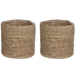 Foto van 2x stuks naturel bruin rotan planten pot mand van gedraaid jute/riet h18 en d18 cm - plantenpotten