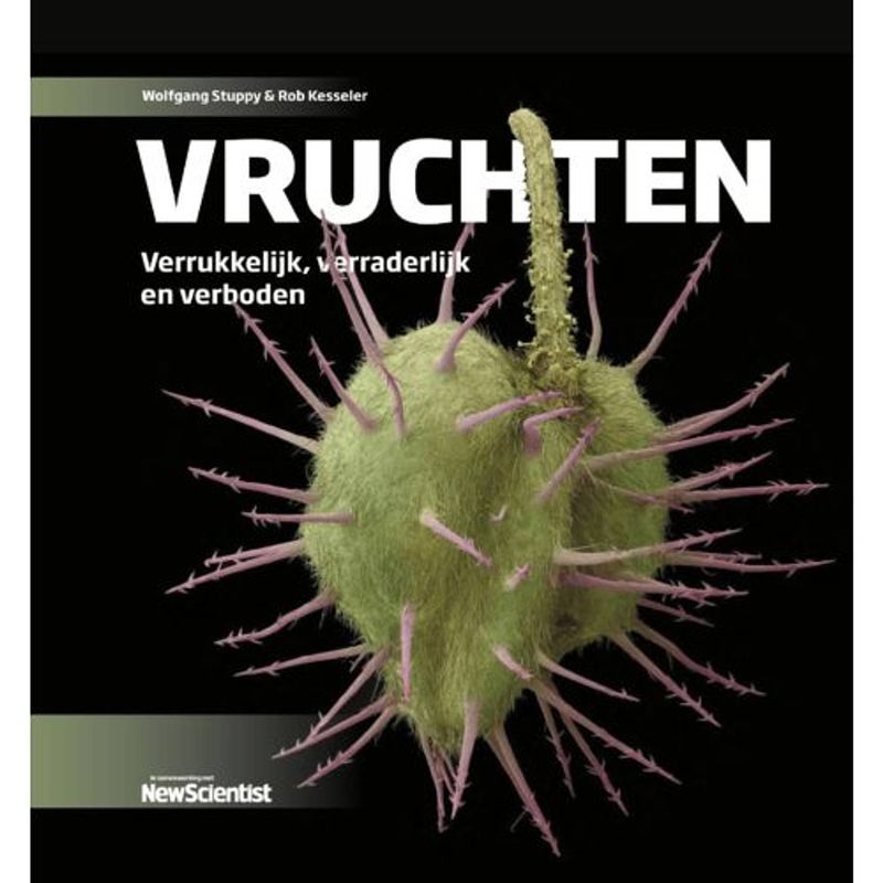 Foto van Vruchten