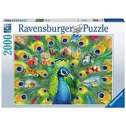 Foto van Ravensburger puzzel land van de pauw 2000st