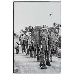 Foto van Schilderij olifanten - zwart/wit - 90x60 cm - leen bakker