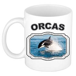 Foto van Dieren orka beker - orcas/ orka vissen mok wit 300 ml - feest mokken