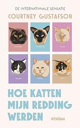 Foto van Hoe katten mijn redding werden - courtney gustafson - ebook