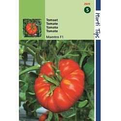 Foto van 2 stuks tomaten beefmaster f1