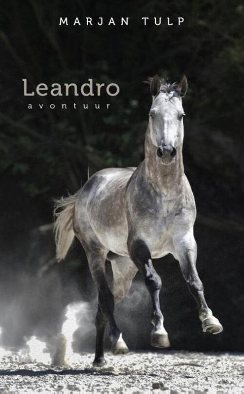 Foto van Leandro - marjan tulp - ebook (9789082109511)