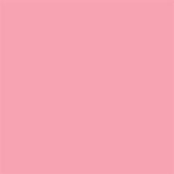 Foto van Superior achtergrondpapier 17 carnation pink 2,72 x 11m