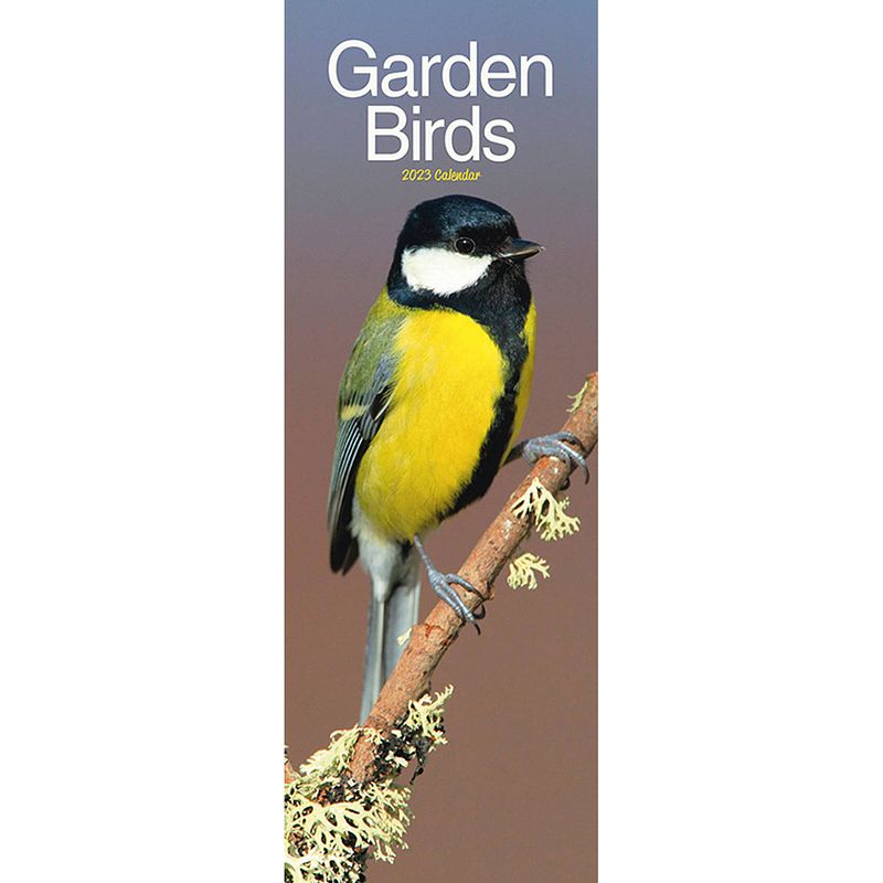 Foto van Garden birds kalender 2023 slimline