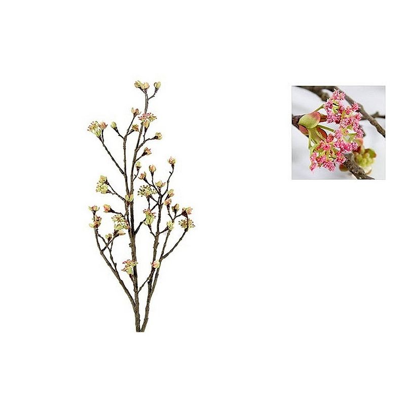 Foto van Decoratieve tak esdoorn quince roze 110 cm