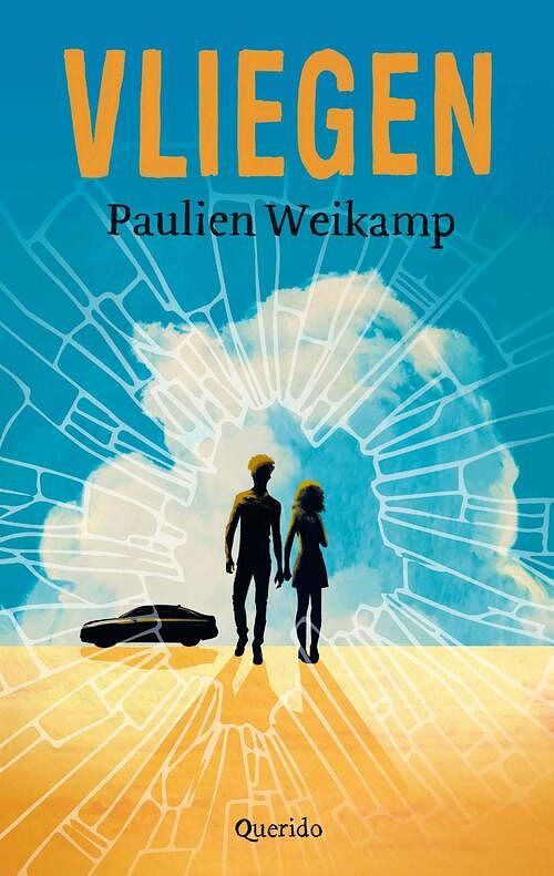 Foto van Vliegen - paulien weikamp - ebook (9789045127637)