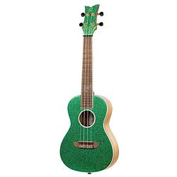 Foto van Ortega ruel-mgr element series concert size ukulele metallic green concert ukelele met gigbag