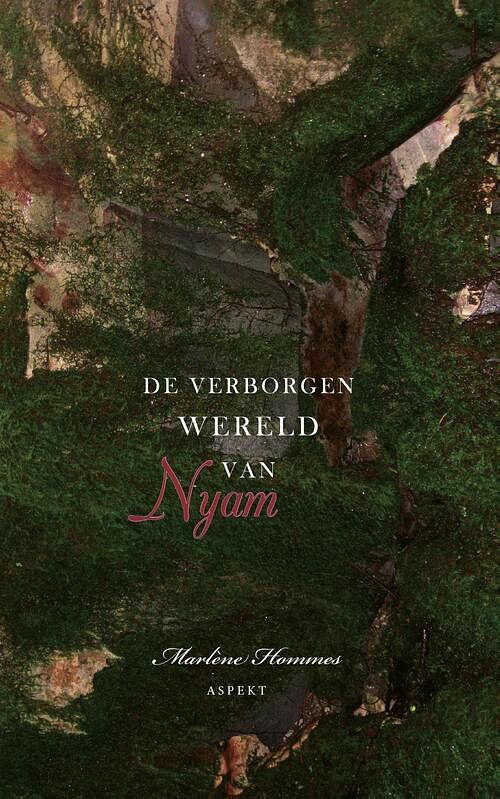 Foto van De verborgen wereld van nyam - marlène hommes - ebook (9789464249064)