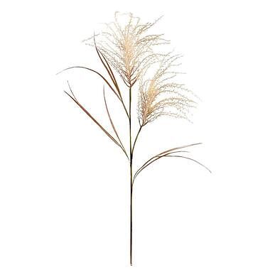 Foto van Pampas grass spray - crème - 134 cm - leen bakker