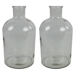 Foto van 2x stuks countryfield vaas - helder glas - apotheker fles - d14 x h27 cm - vazen