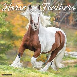 Foto van Horse feathers kalender 2023