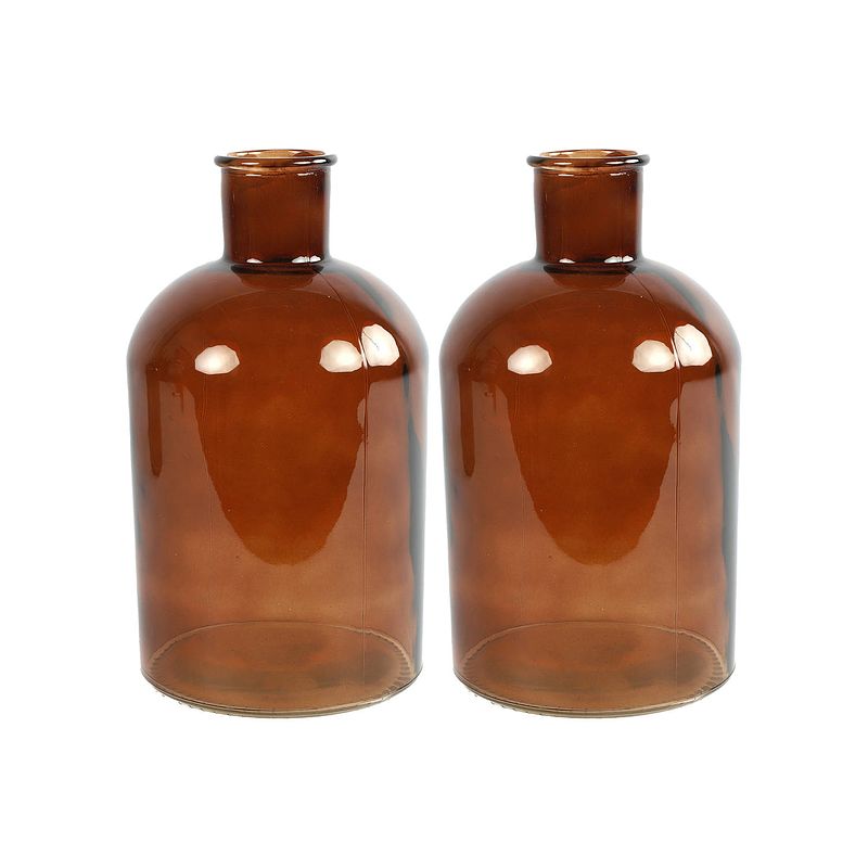 Foto van 2x stuks countryfield vaas - bruin - glas - apotheker fles vorm - d17 x h30 cm - vazen