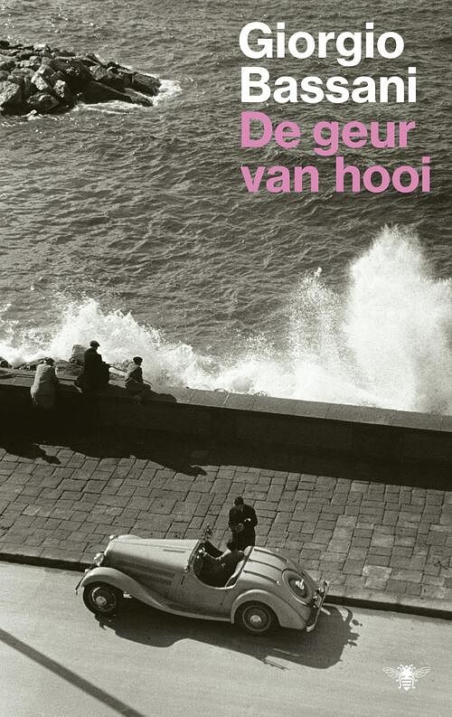 Foto van De geur van hooi - giorgio bassani - ebook (9789403113005)