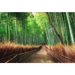 Foto van Wizard+genius bamboo grove kyoto vlies fotobehang 384x260cm 8-banen