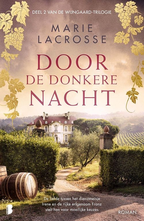 Foto van Door de donkere nacht - marie lacrosse - ebook