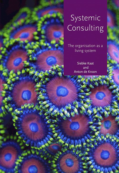 Foto van Systemic consulting - anton de kroon, siebke kaat - ebook (9789492331175)