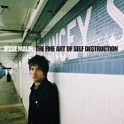 Foto van The fine art of self destruction - cd (5016958996697)