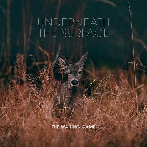 Foto van Underneath the surface - lp (2090405365284)