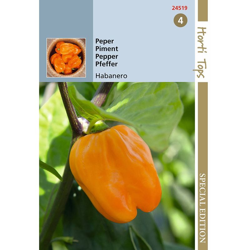 Foto van Hortitops - 5 stuks hts peper habanero, oranje