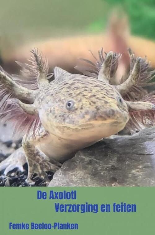 Foto van De axolotl - femke beeloo-planken - ebook (9789464484977)