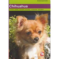 Foto van Chihuahua - over dieren
