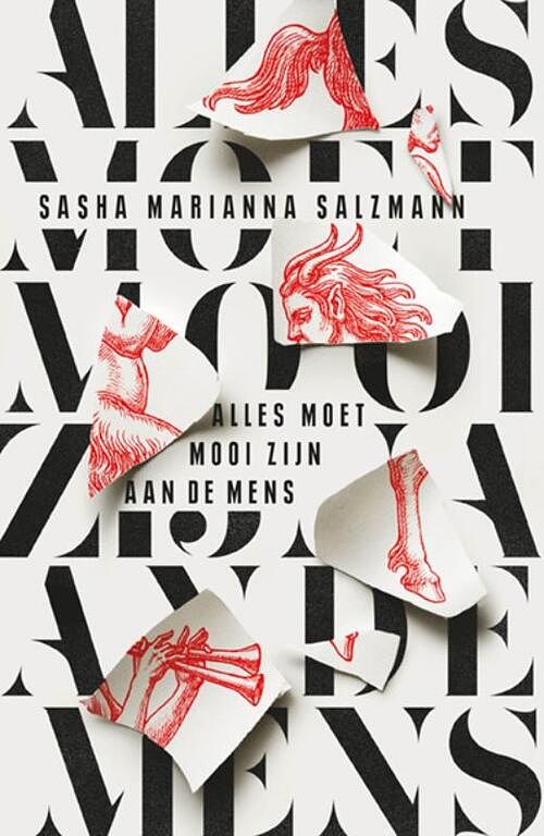 Foto van Alles moet mooi zijn aan de mens - sasha marianna salzmann - paperback (9789493169753)