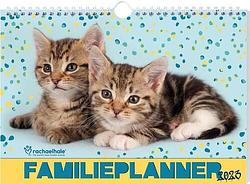 Foto van Rachael hale katten familieplanner - 2023 - rachael hale - spiraalgebonden (9789464323887)