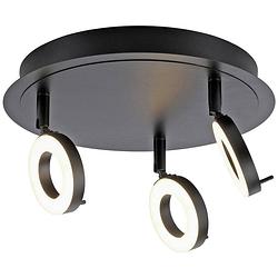 Foto van Paul neuhaus 6788-13 led-plafondlamp led 19.2 w antraciet