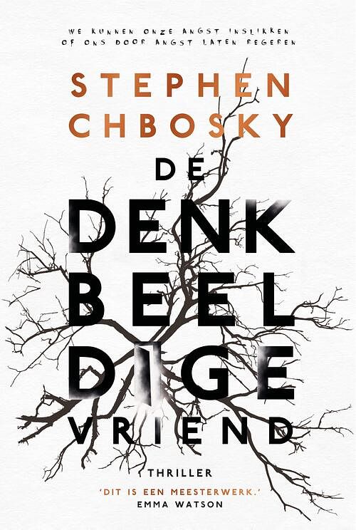 Foto van De denkbeeldige vriend - stephen chbosky - ebook (9789044977400)