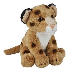 Foto van Pluche knuffel dieren luipaard 15 cm - knuffeldier