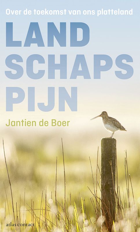 Foto van Landschapspijn - jantien de boer - ebook (9789045033914)