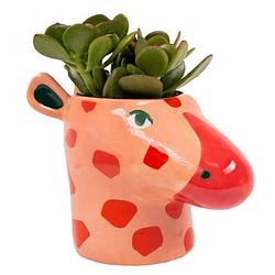 Foto van Fizz creations bloempot giraffe 8 cm keramiek rood