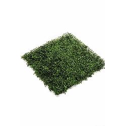 Foto van Kunsthaag buxus 50x50cm uv