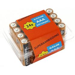 Foto van Duracell batterijen industrial aaa 24 stuks