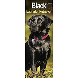 Foto van Labrador retriever kalender zwart 2023 slimline