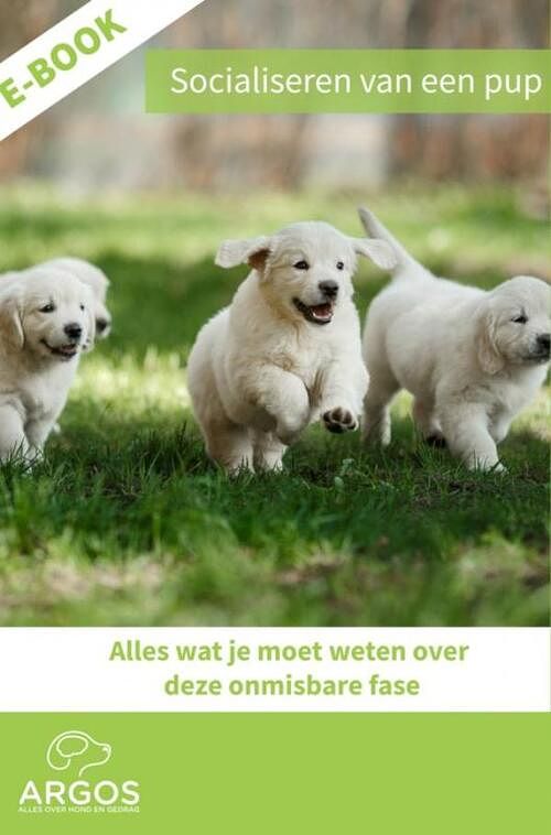 Foto van Socialiseren van een pup - argos - ebook (9789402184174)