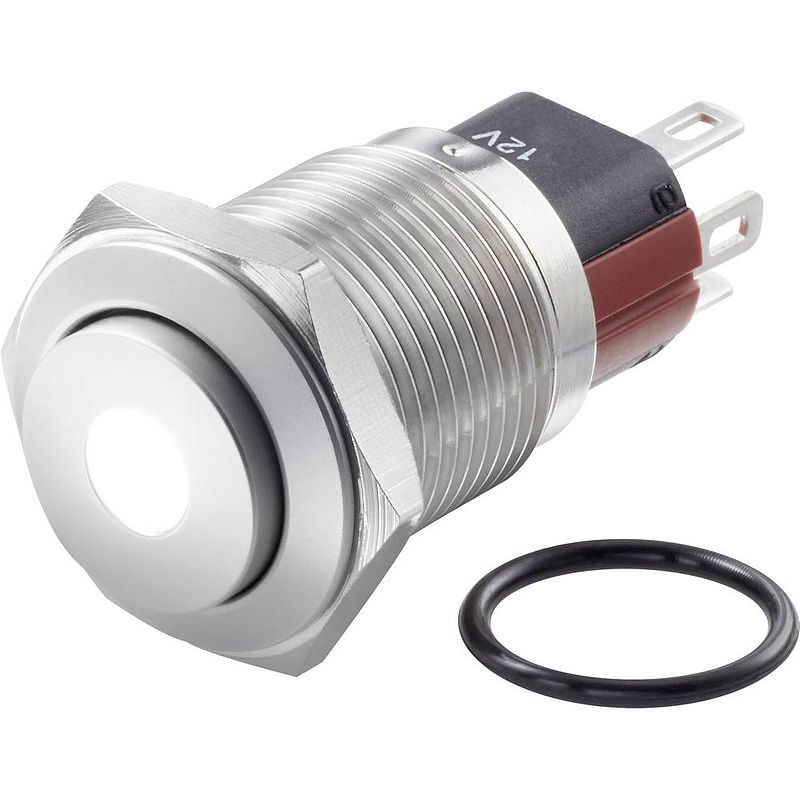 Foto van Tru components tc-7494992 tc-gq16-kh-11zd/j/w/12v/s vandalismebestendige drukschakelaar 48 v/dc 2 a 1x uit/aan continu wit ip65 1 stuk(s)