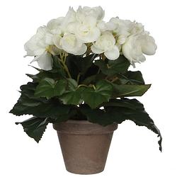 Foto van Witte begonia kunstplant 25 cm in grijze pot - kunstplanten