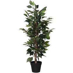 Foto van Kunstplant ficus groen 95 cm - kunstplanten