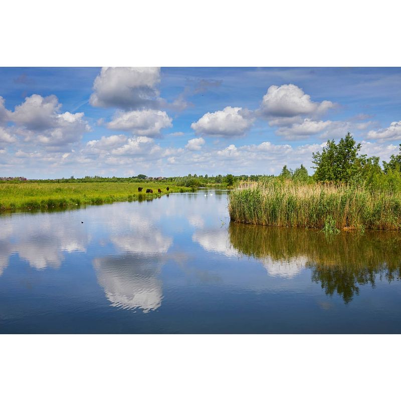 Foto van Tuinschilderij water wolk 70x130 cm