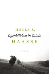 Foto van Ogenblikken in valois - hella s. haasse - ebook (9789021408460)