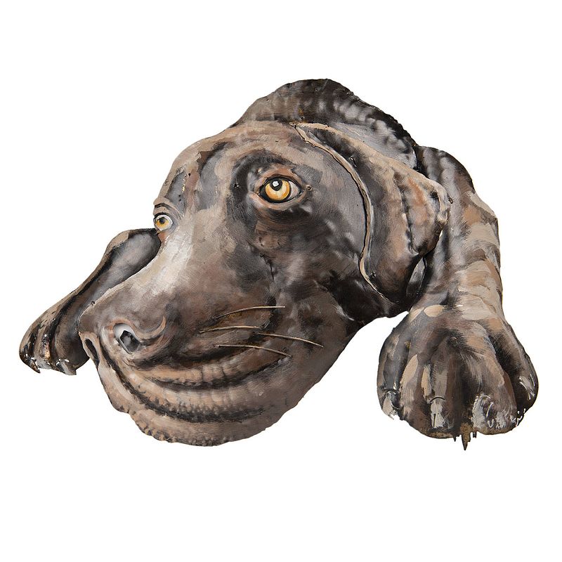 Foto van Clayre & eef multi wanddecoratie hond 70*5*52 cm 5wa0119