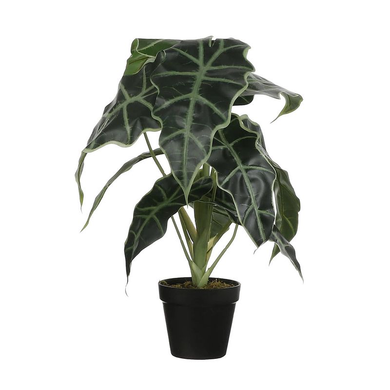 Foto van Alocasia kunstplant groen in pot h50 cm - kunstplanten